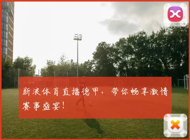 新浪体育直播德甲，带你畅享激情赛事盛宴！