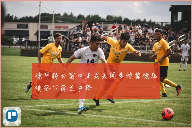 德甲转会窗口正式关闭多特蒙德压哨签下荷兰中锋