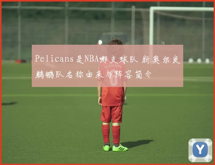 Pelicans是NBA哪支球队 新奥尔良鹈鹕队名称由来与阵容简介